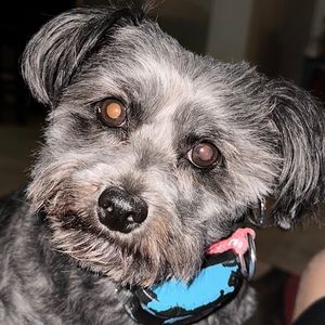 Meet your Posher, Larry